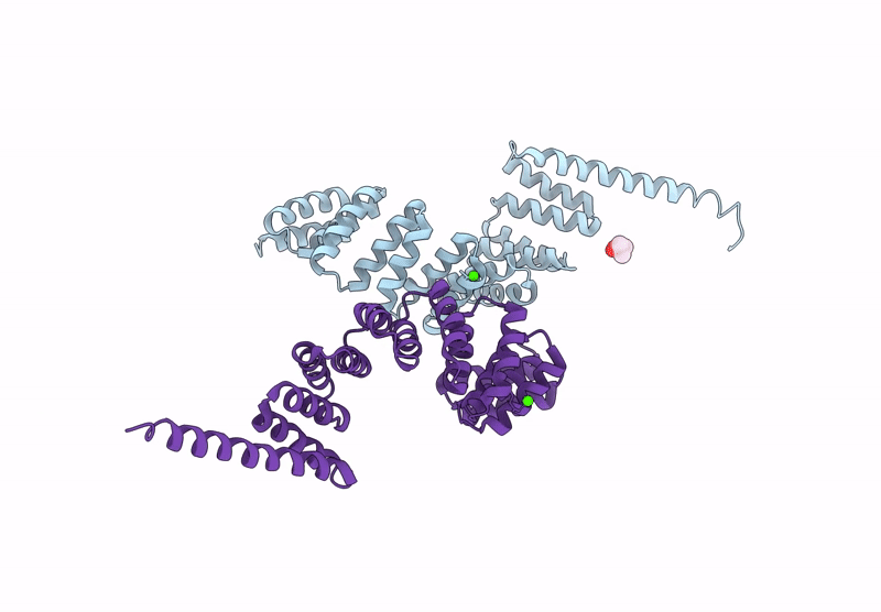 9QHC image