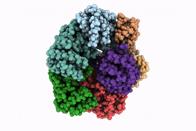 9QHF image