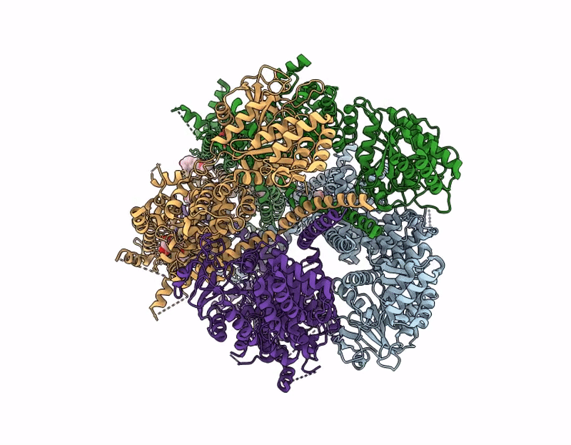 9QHP image