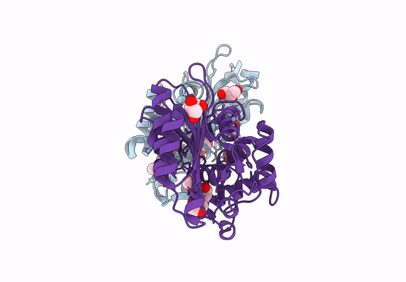 9QI6 image