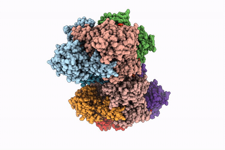 9QJ0 image