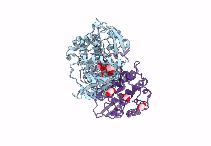 9QJ2 image