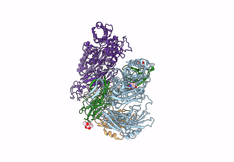 9QJ4 image