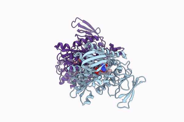 9QJB image
