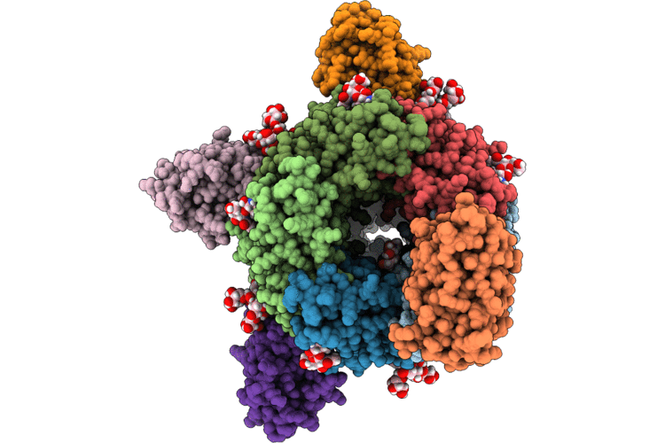 9QJR image