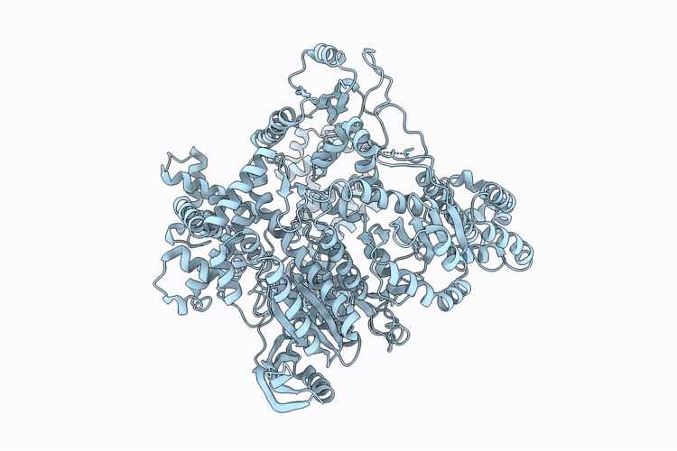 9QLI image