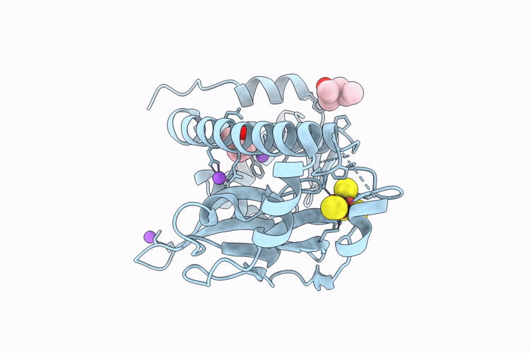 9QLX image