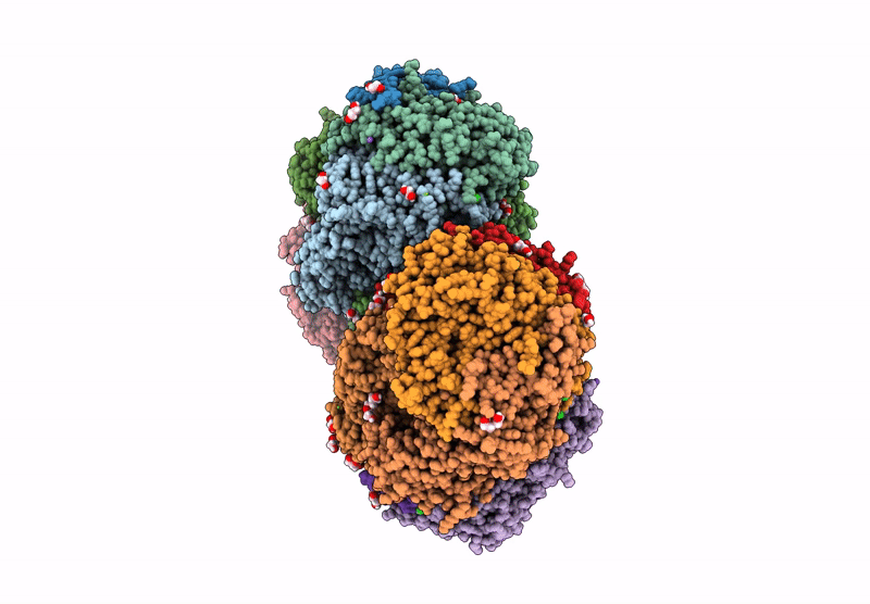 9QM5 image