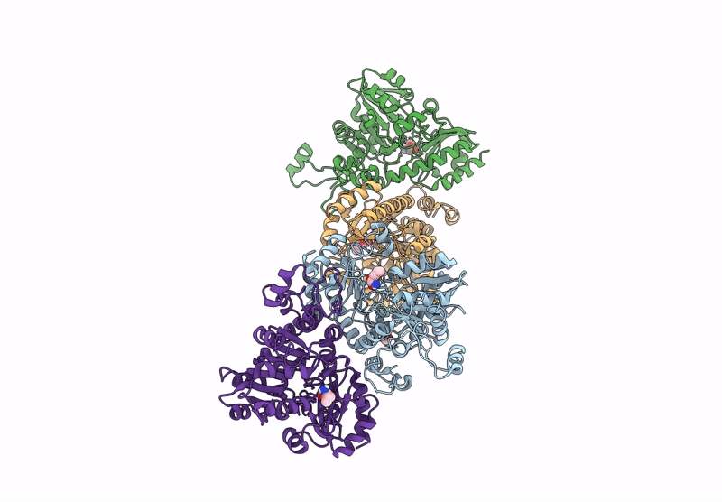 9QM6 image