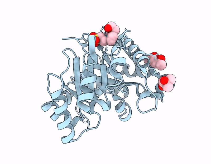 9QM7 image