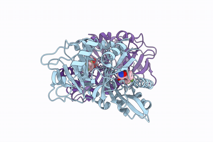 9QML image