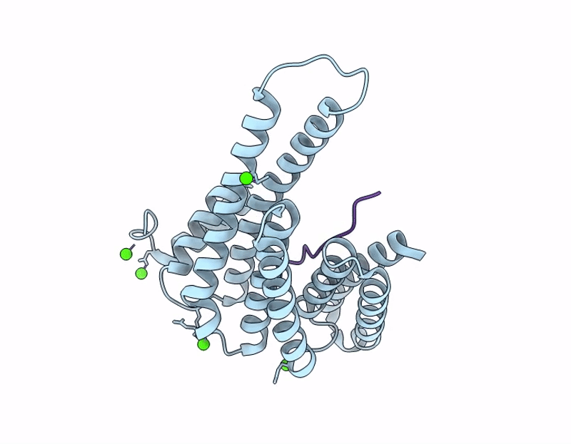 9QNL image