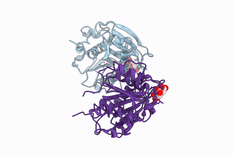 9QNM image