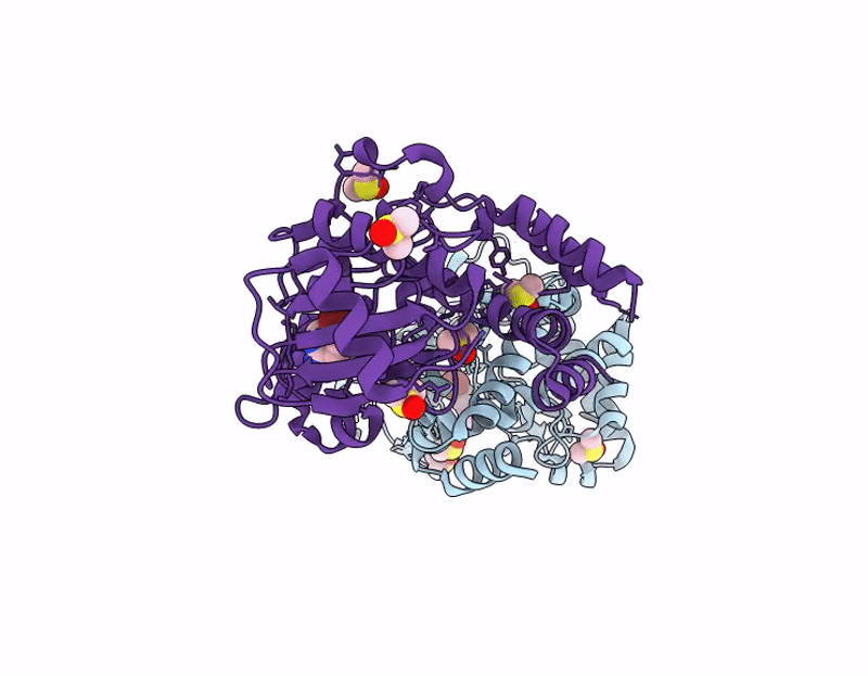 9QPB image