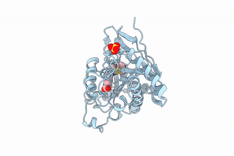 9QPH image