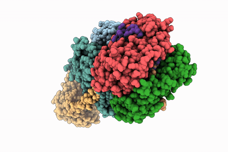9QPP image