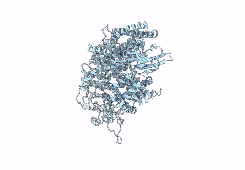 9QPV image