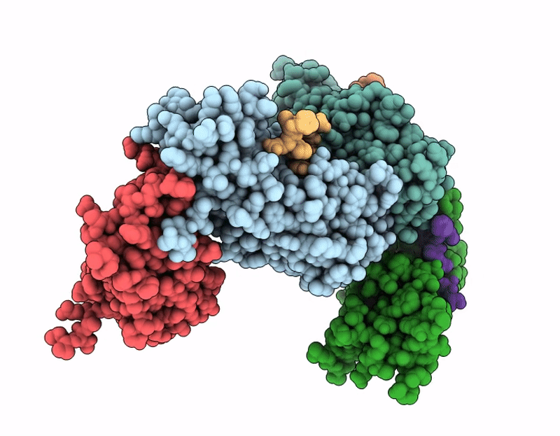 9QPX image
