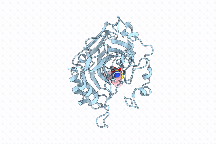 9QQ2 image