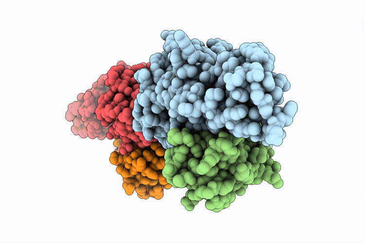 9QQE image