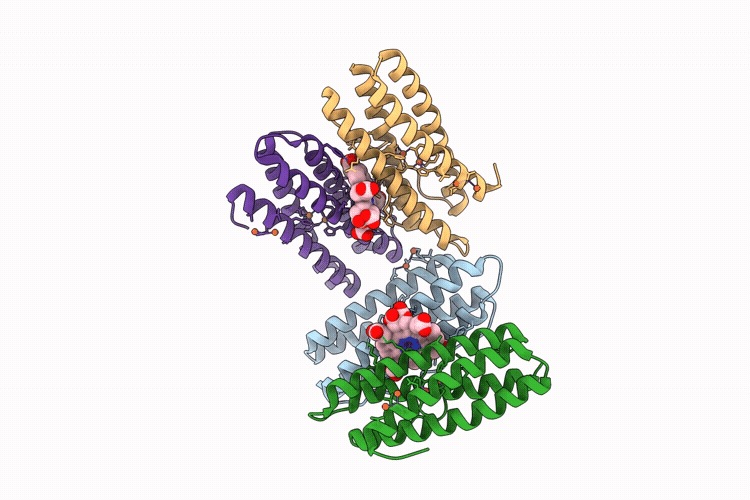 9QQI image