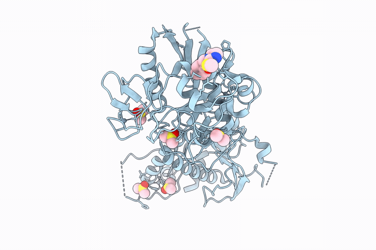 9QRA image