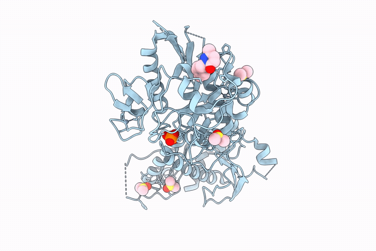 9QRC image