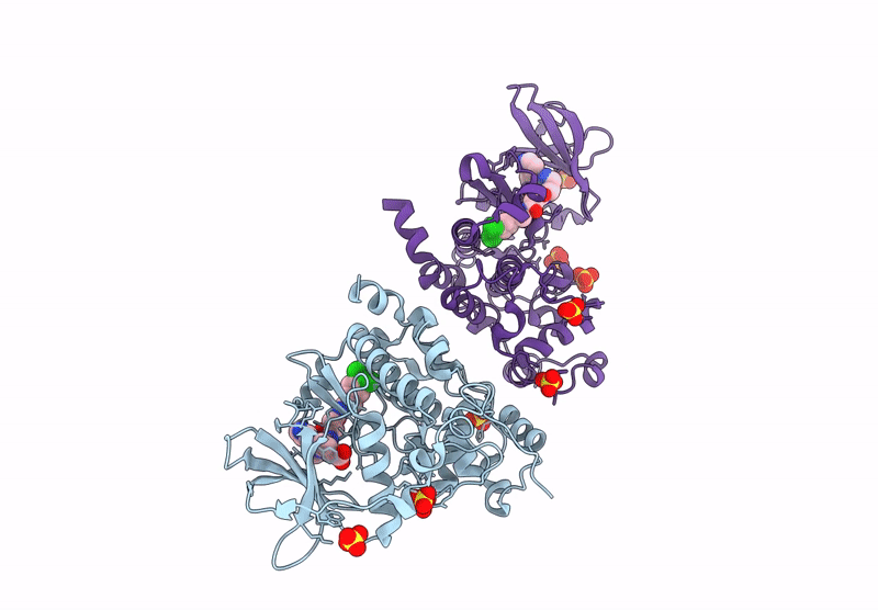9QRH image