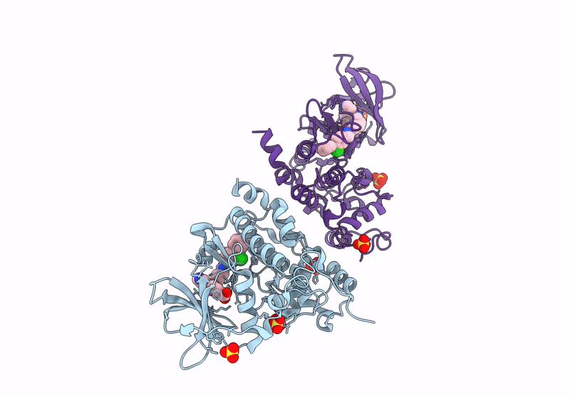 9QRJ image