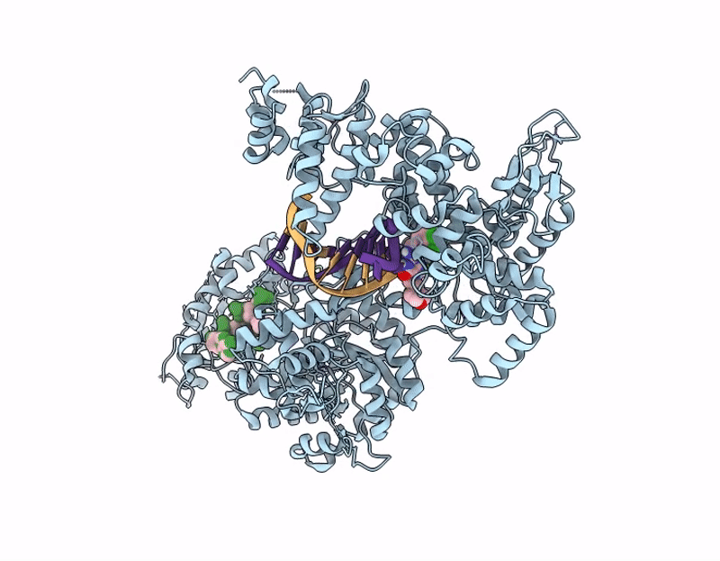 9QRL image