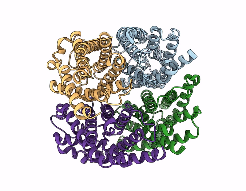 9QSZ image