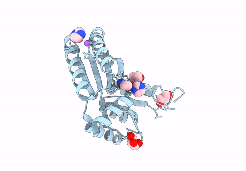 9QUO image