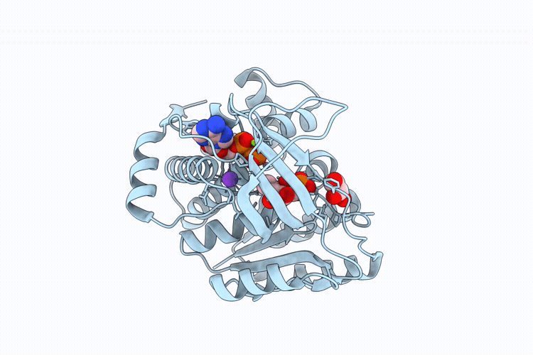 9QV3 image