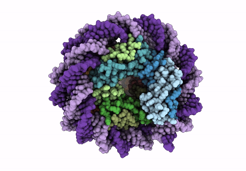 9QV6 image