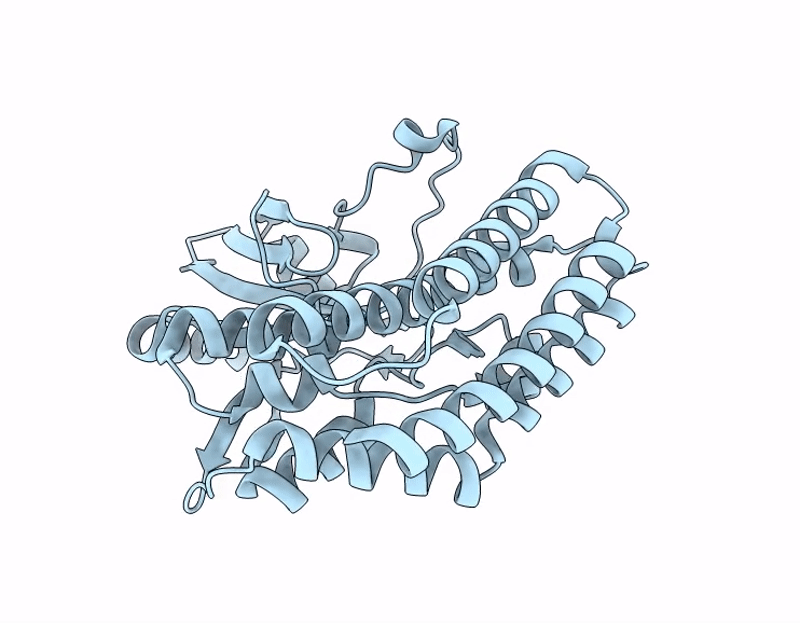 9QVK image