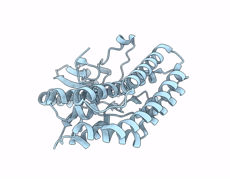 9QVS image