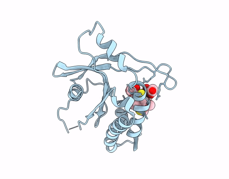 9QVT image
