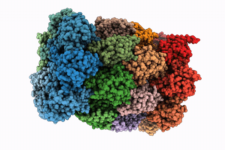 9QVX image