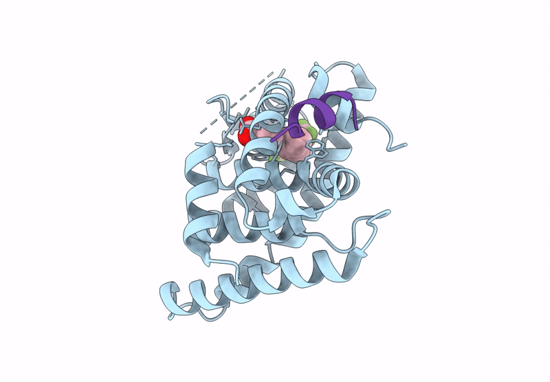 9QX6 image