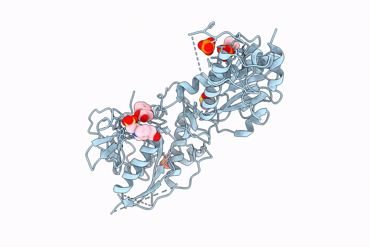 9QXC image