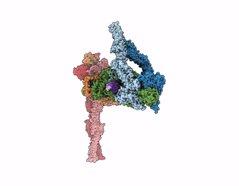 9QXT image