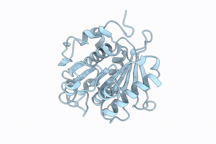 9QYB image