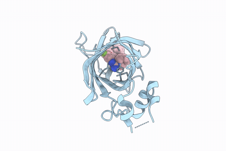 9QZI image