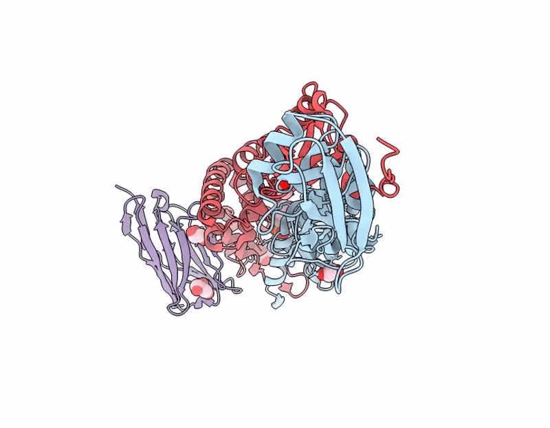 9R0B image