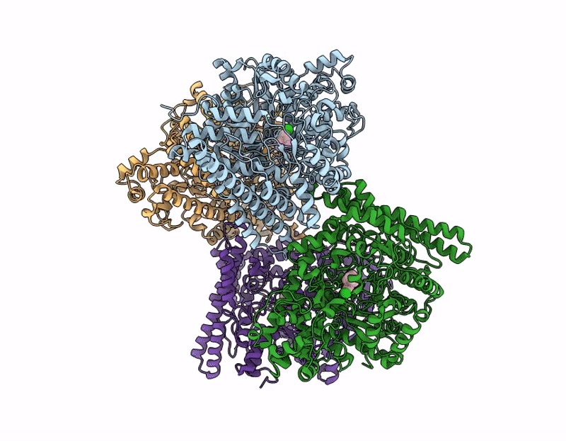 9R0V image