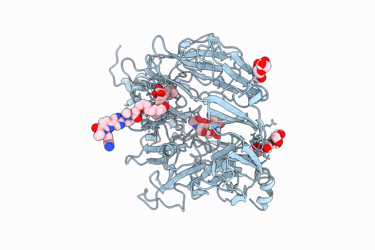 9R18 image