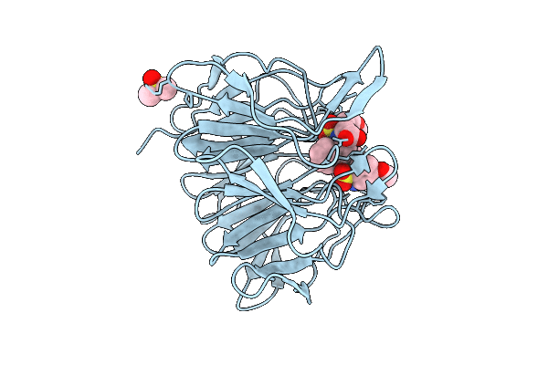 9R1C image