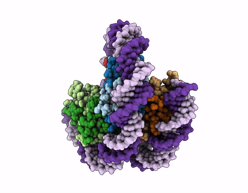 9R1D image