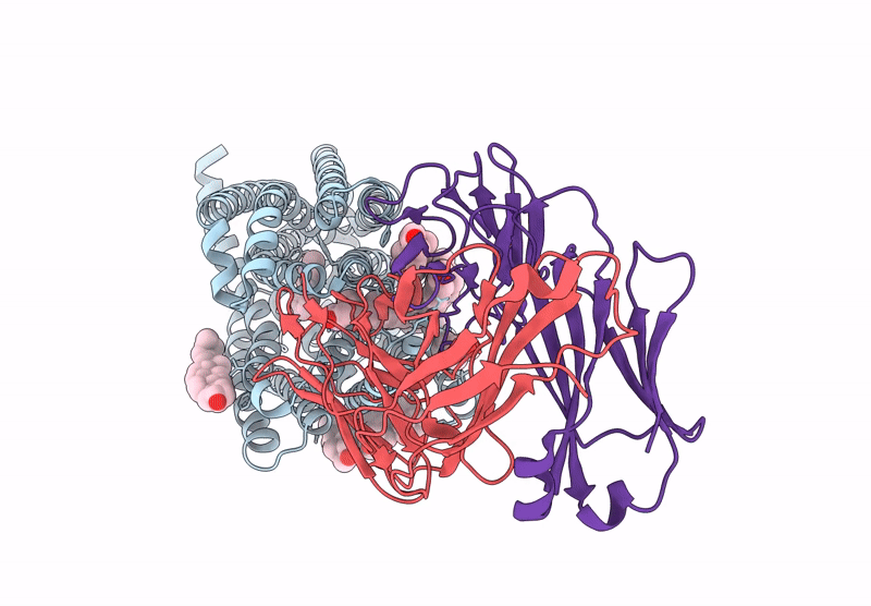 9R1E image