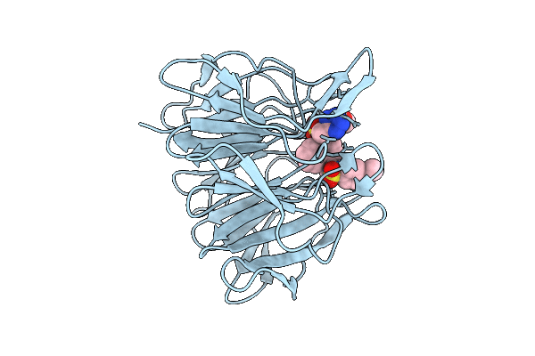 9R1I image